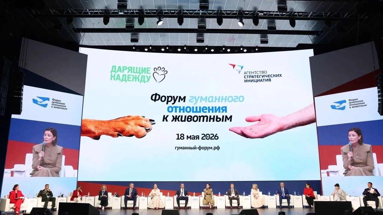 В Москве обсудили ключевые проблемы законов об обращении с животными